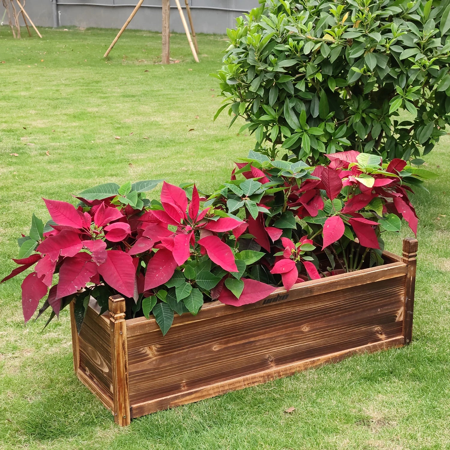 Raised garden bed flower or vegetable planter window mounted plant box for yard wood planting