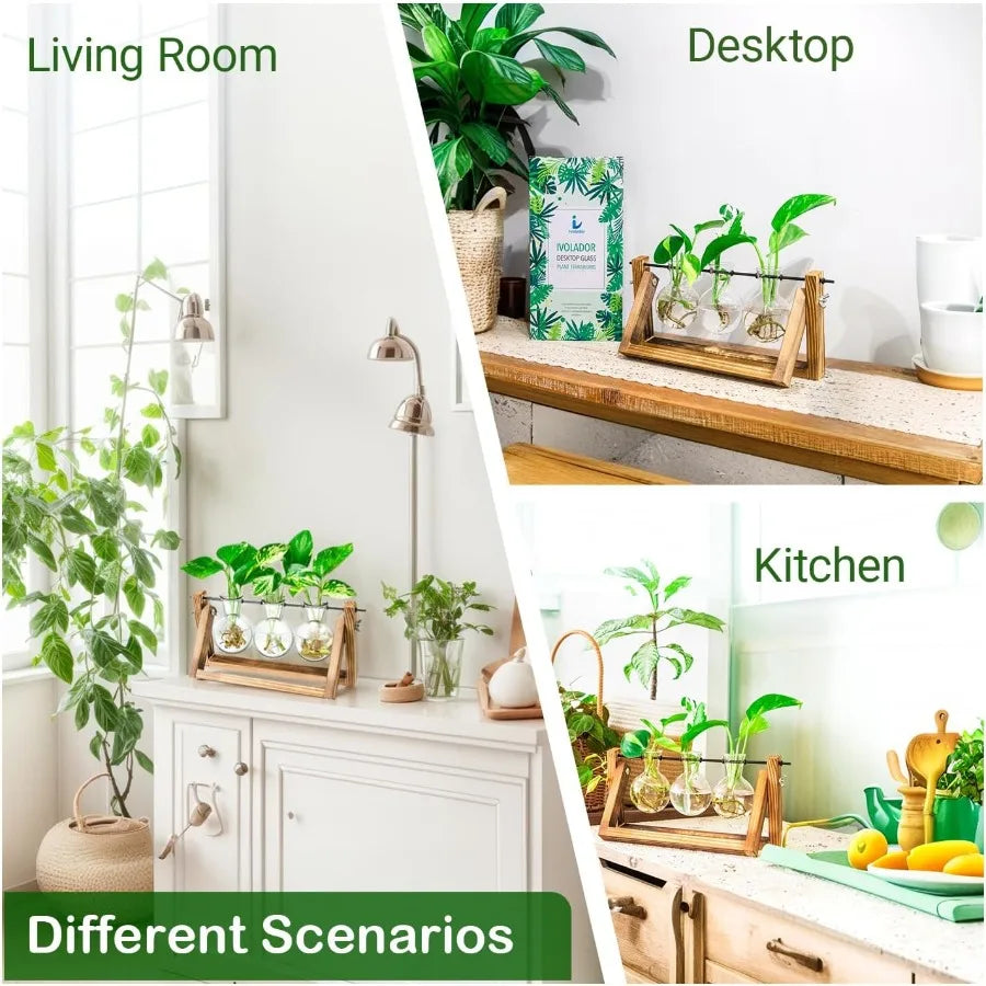 Ivolador plant propagation stationbulb terrarium with wooden stand unique gardening gifts for women lovers hydropon