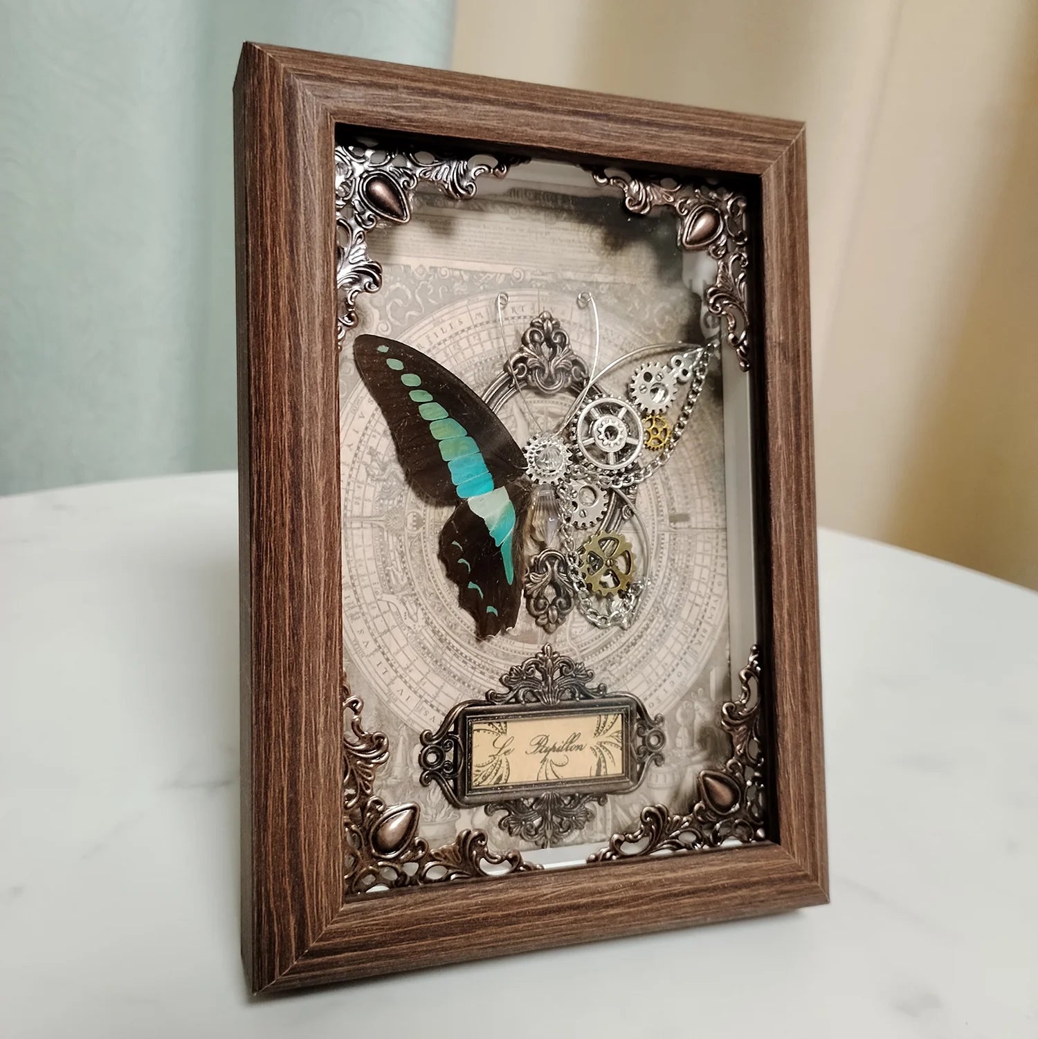 Real butterfly specimen framed 3d mechanical butterflies collection punk retro style handcraft home decor education