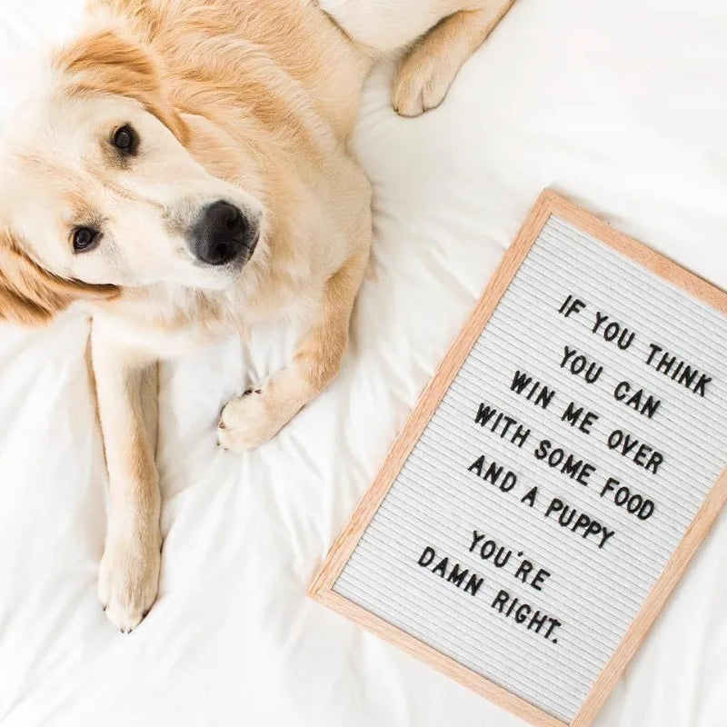 Plus size felt letter decorative board with stand 30*40cm wooden frame messages boards 460 letters diy party decoration