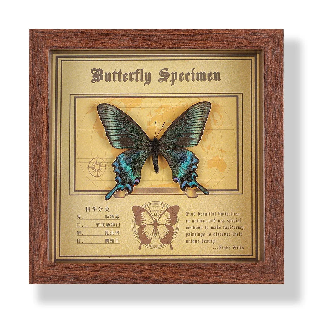 Real butterfly specimen frame handcrafted 3d decor wooden picture art gift diy insect display home décor - 14.6x14.6cm 3