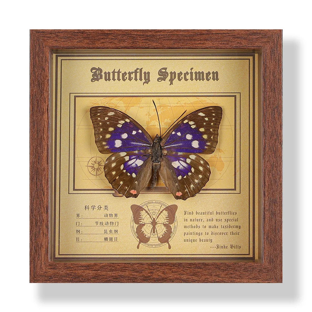 Real butterfly specimen frame handcrafted 3d decor wooden picture art gift diy insect display home décor - 14.6x14.6cm 9