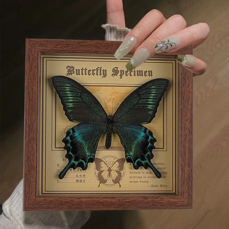 Real butterfly specimen frame handcrafted 3d decor wooden picture art gift diy insect display home décor