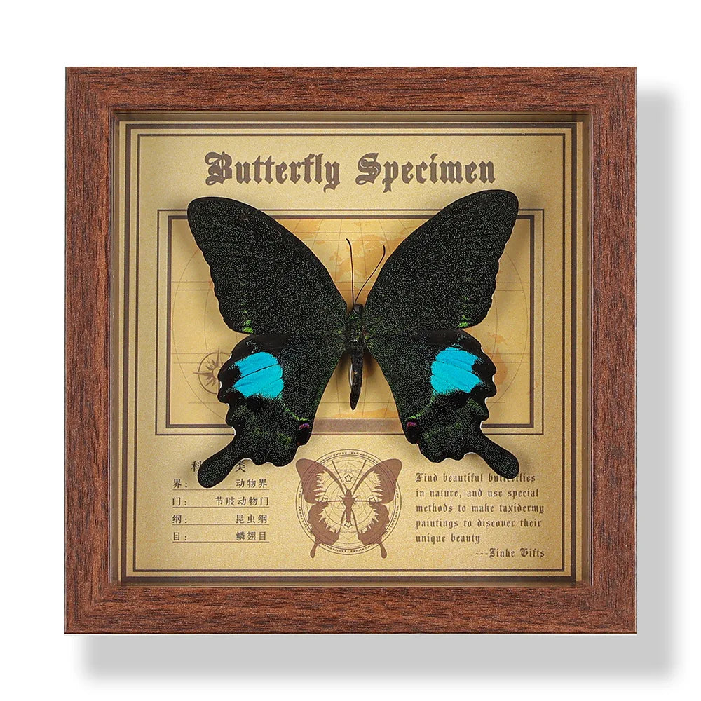 Real butterfly specimen frame handcrafted 3d decor wooden picture art gift diy insect display home décor - 14.6x14.6cm 4