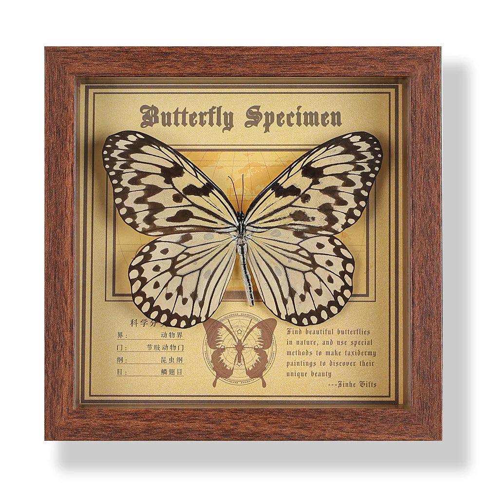 Real butterfly specimen frame handcrafted 3d decor wooden picture art gift diy insect display home décor - 14.6x14.6cm