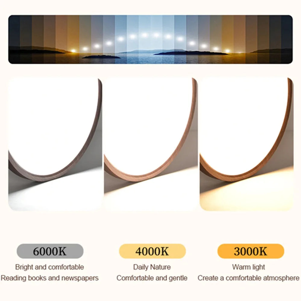 Led ceiling light circular modern simple walnut wood grain decorative living room bedroom balcony ultra-thin