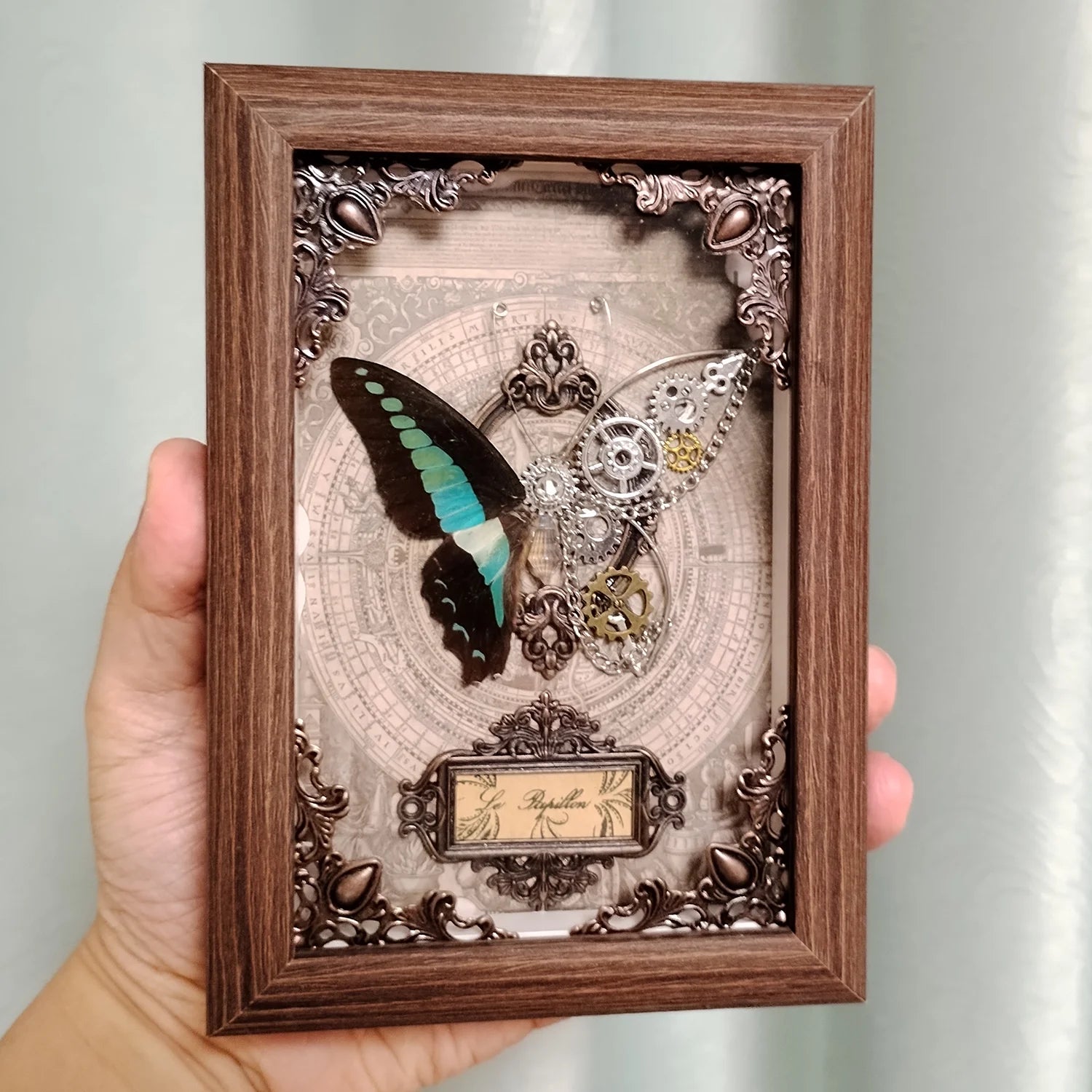 real-butterfly-specimen-framed-3d-mechanical-butterflies-collection-punk-retro-style-handcraft-home-decor-education-unique-gift