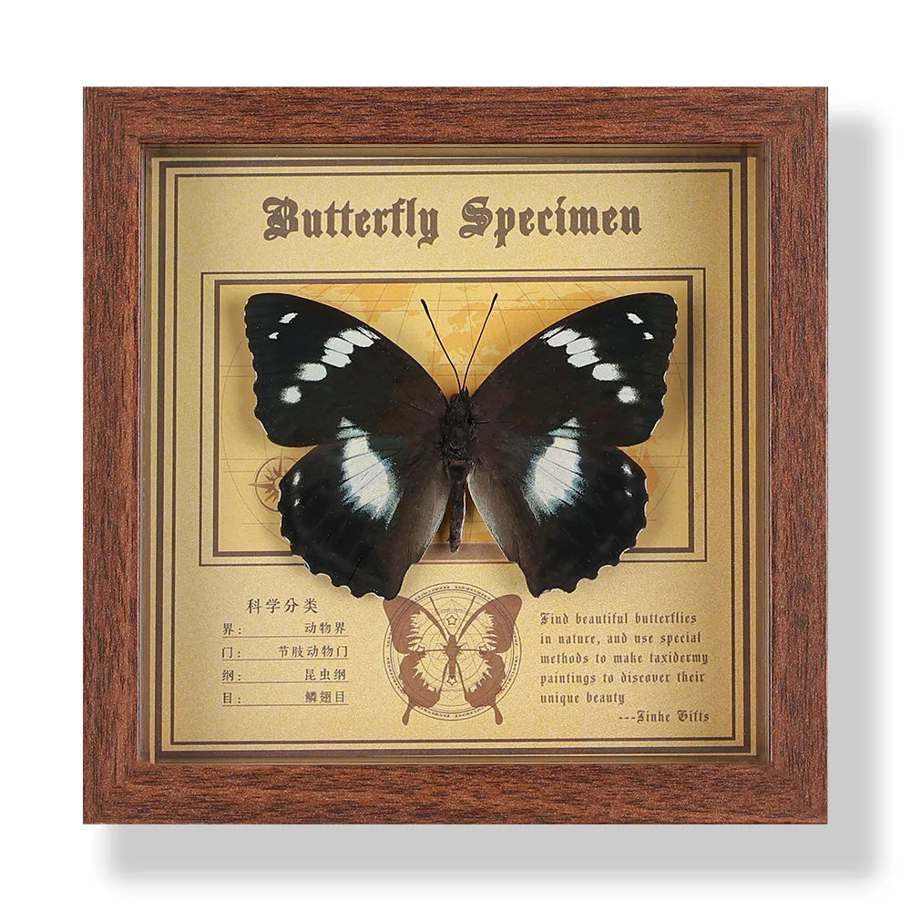 Real butterfly specimen frame handcrafted 3d decor wooden picture art gift diy insect display home décor - 14.6x14.6cm 2