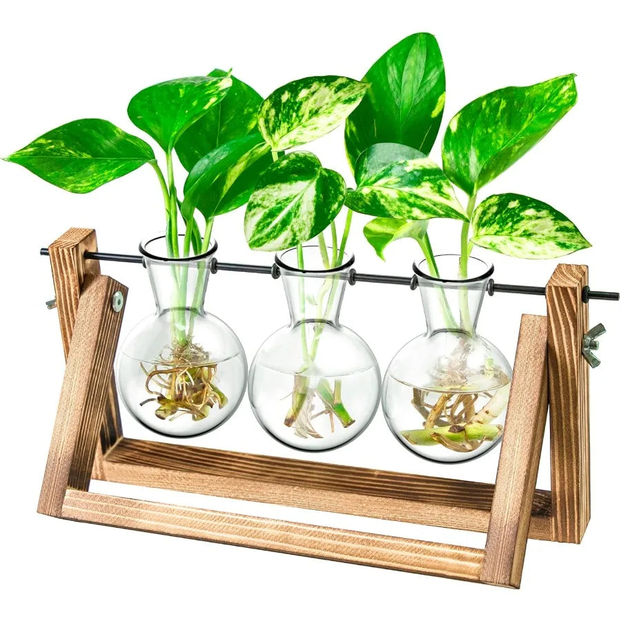 Ivolador plant propagation stationbulb terrarium with wooden stand unique gardening gifts for women lovers hydropon