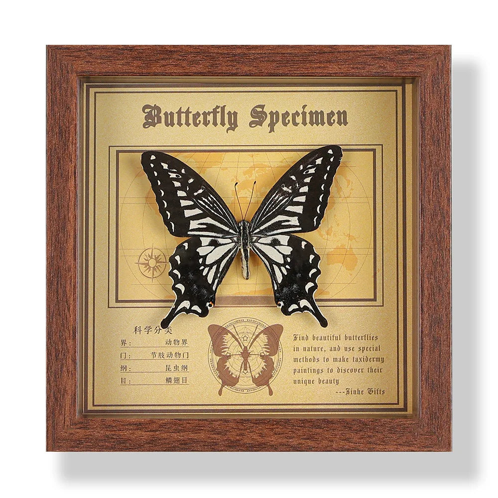 Real butterfly specimen frame handcrafted 3d decor wooden picture art gift diy insect display home décor - 14.6x14.6cm