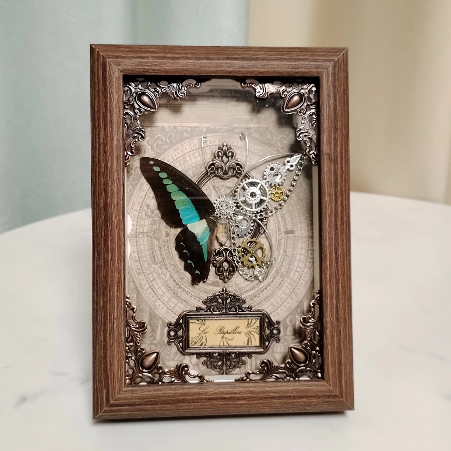 Real butterfly specimen framed 3d mechanical butterflies collection punk retro style handcraft home decor education