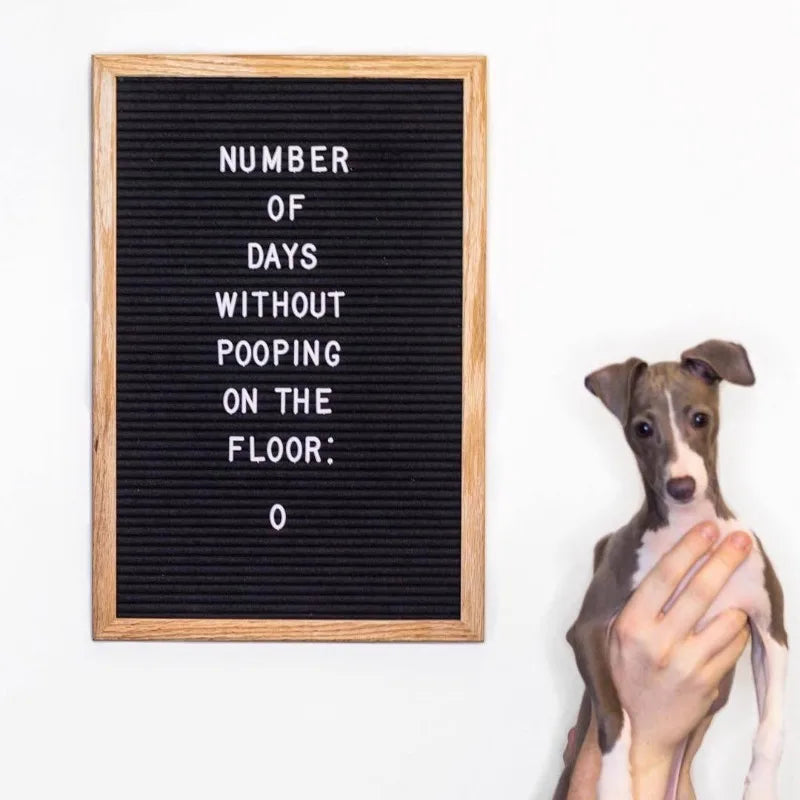 Plus size felt letter decorative board with stand 30*40cm wooden frame messages boards 460 letters diy party decoration