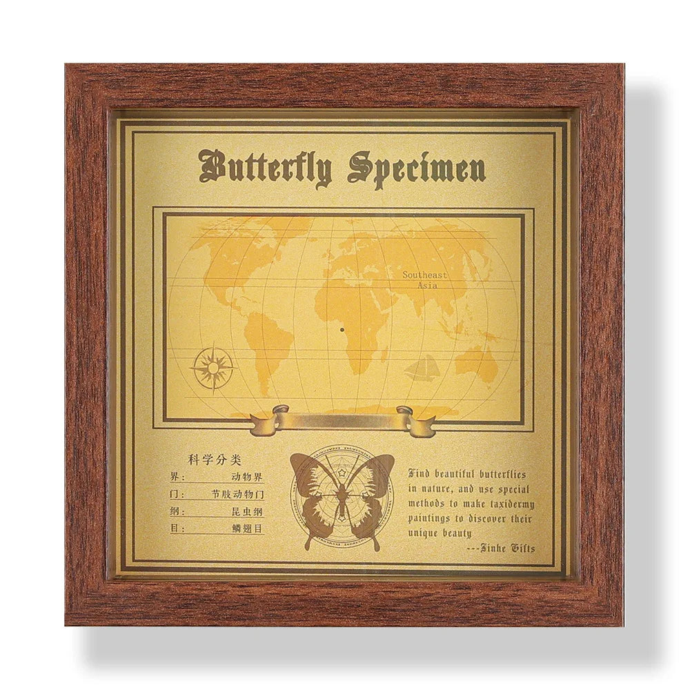 Real butterfly specimen frame handcrafted 3d decor wooden picture art gift diy insect display home décor - 14.6x14.6cm