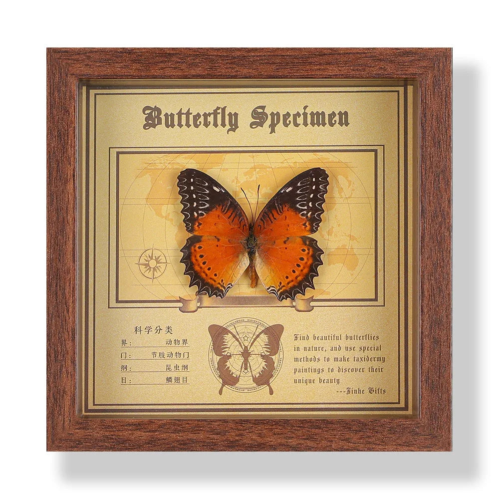Real butterfly specimen frame handcrafted 3d decor wooden picture art gift diy insect display home décor - 14.6x14.6cm