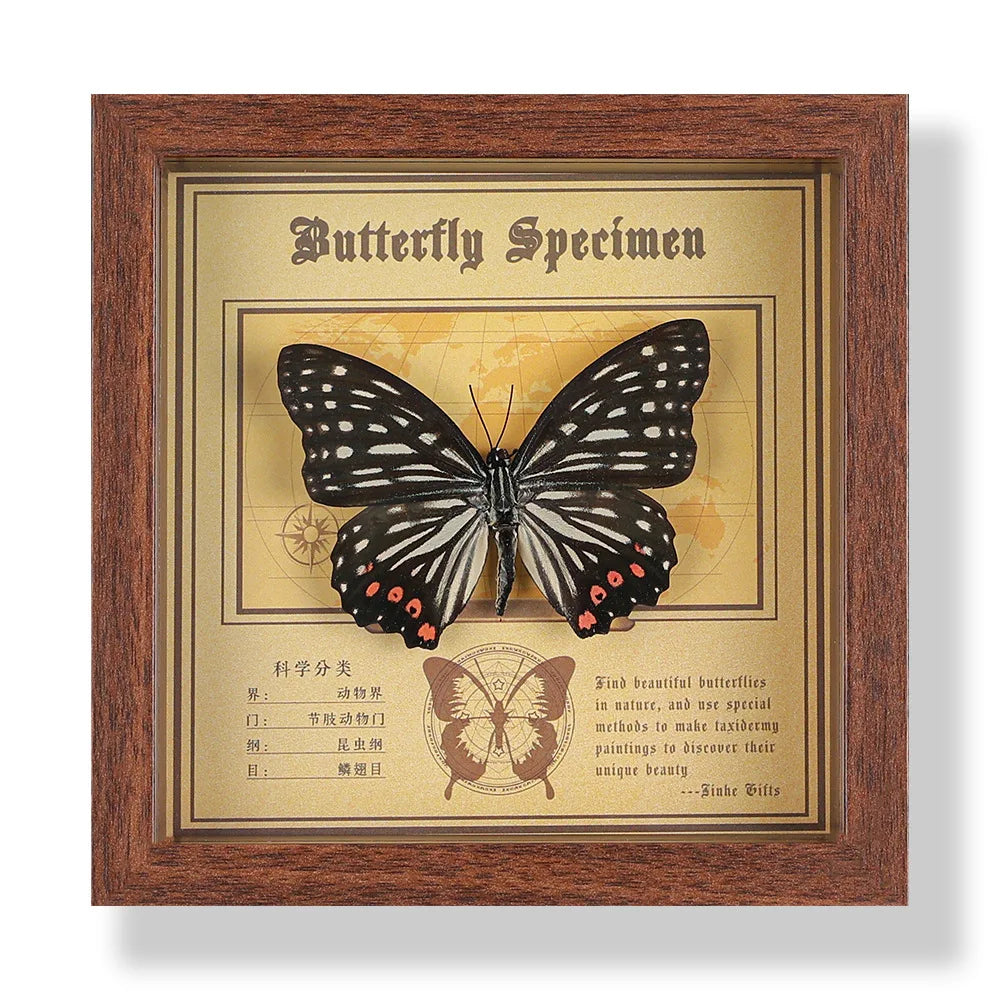 Real butterfly specimen frame handcrafted 3d decor wooden picture art gift diy insect display home décor - 14.6x14.6cm
