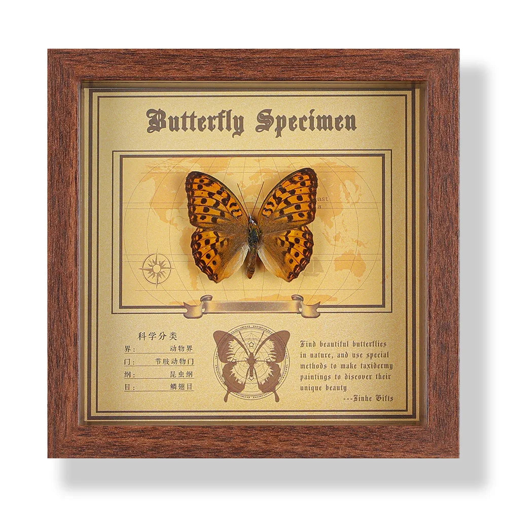 Real butterfly specimen frame handcrafted 3d decor wooden picture art gift diy insect display home décor - 14.6x14.6cm 7