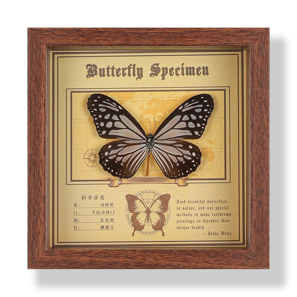 Real butterfly specimen frame handcrafted 3d decor wooden picture art gift diy insect display home décor - 14.6x14.6cm