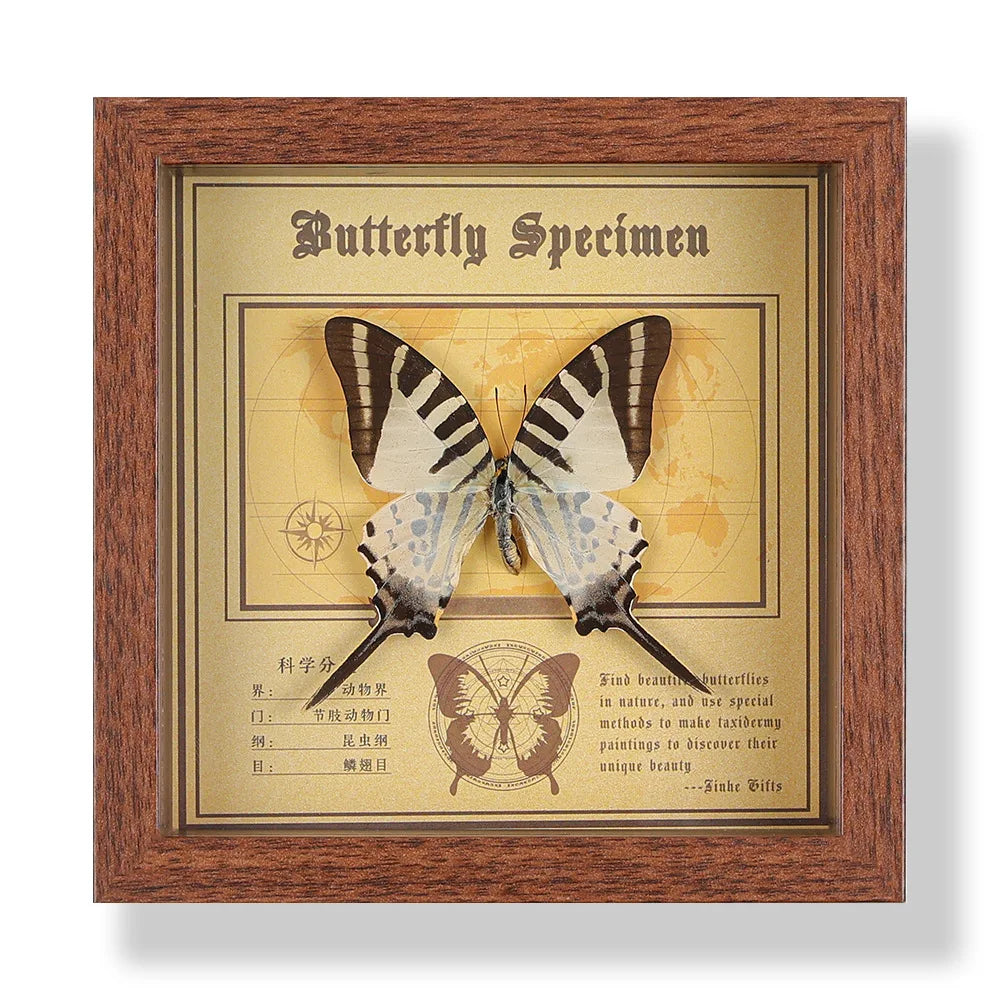 Real butterfly specimen frame handcrafted 3d decor wooden picture art gift diy insect display home décor - 14.6x14.6cm
