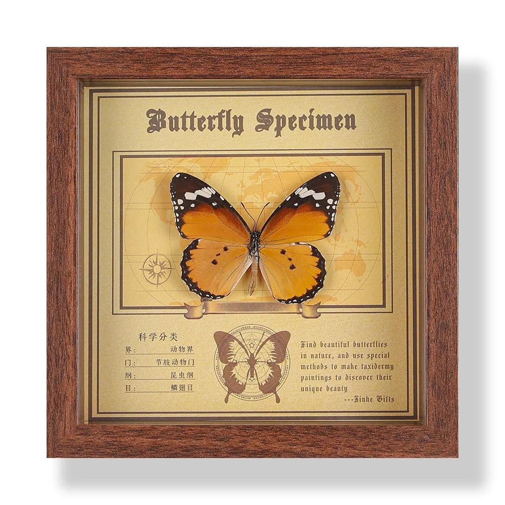 Real butterfly specimen frame handcrafted 3d decor wooden picture art gift diy insect display home décor - 14.6x14.6cm