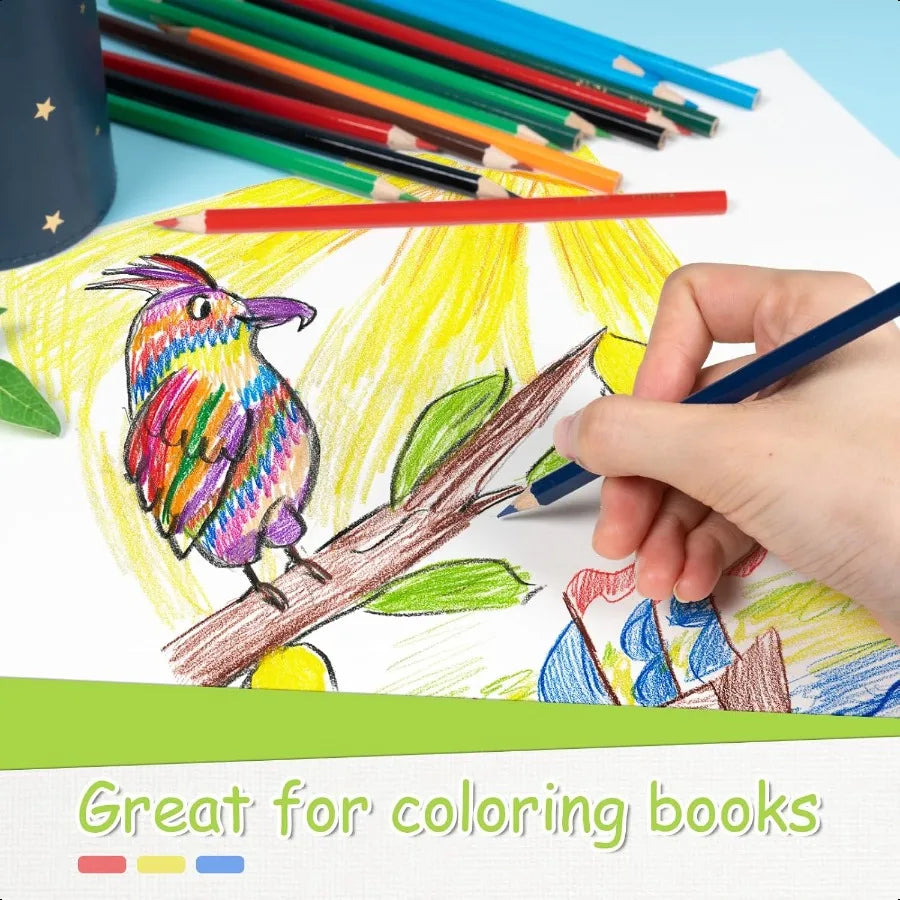 Colored pencils bulk 12 assorted colors coloring set for adults drawing sketch back to school woodcase lead - united