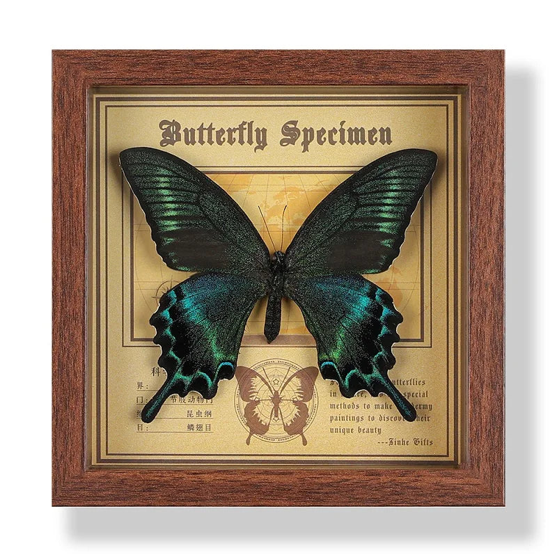 Real butterfly specimen frame handcrafted 3d decor wooden picture art gift diy insect display home décor