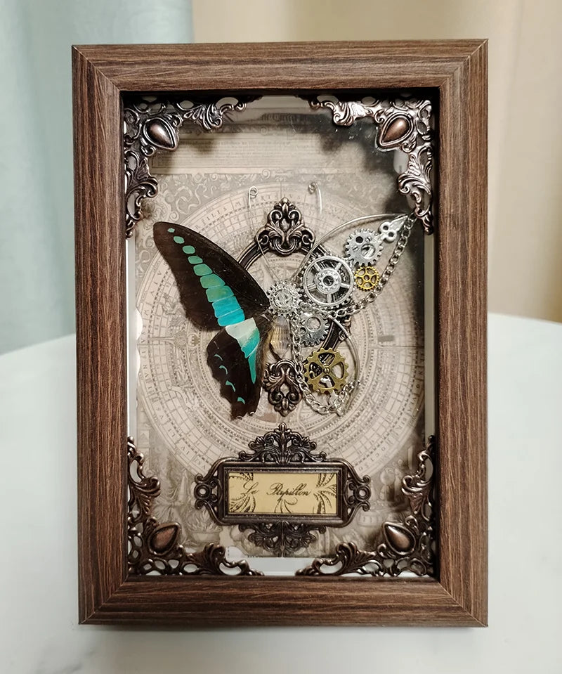 Real butterfly specimen framed 3d mechanical butterflies collection punk retro style handcraft home decor education