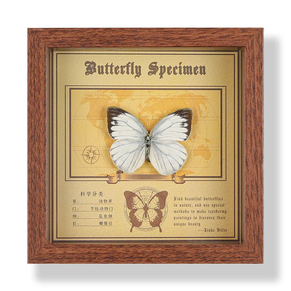 Real butterfly specimen frame handcrafted 3d decor wooden picture art gift diy insect display home décor - 14.6x14.6cm