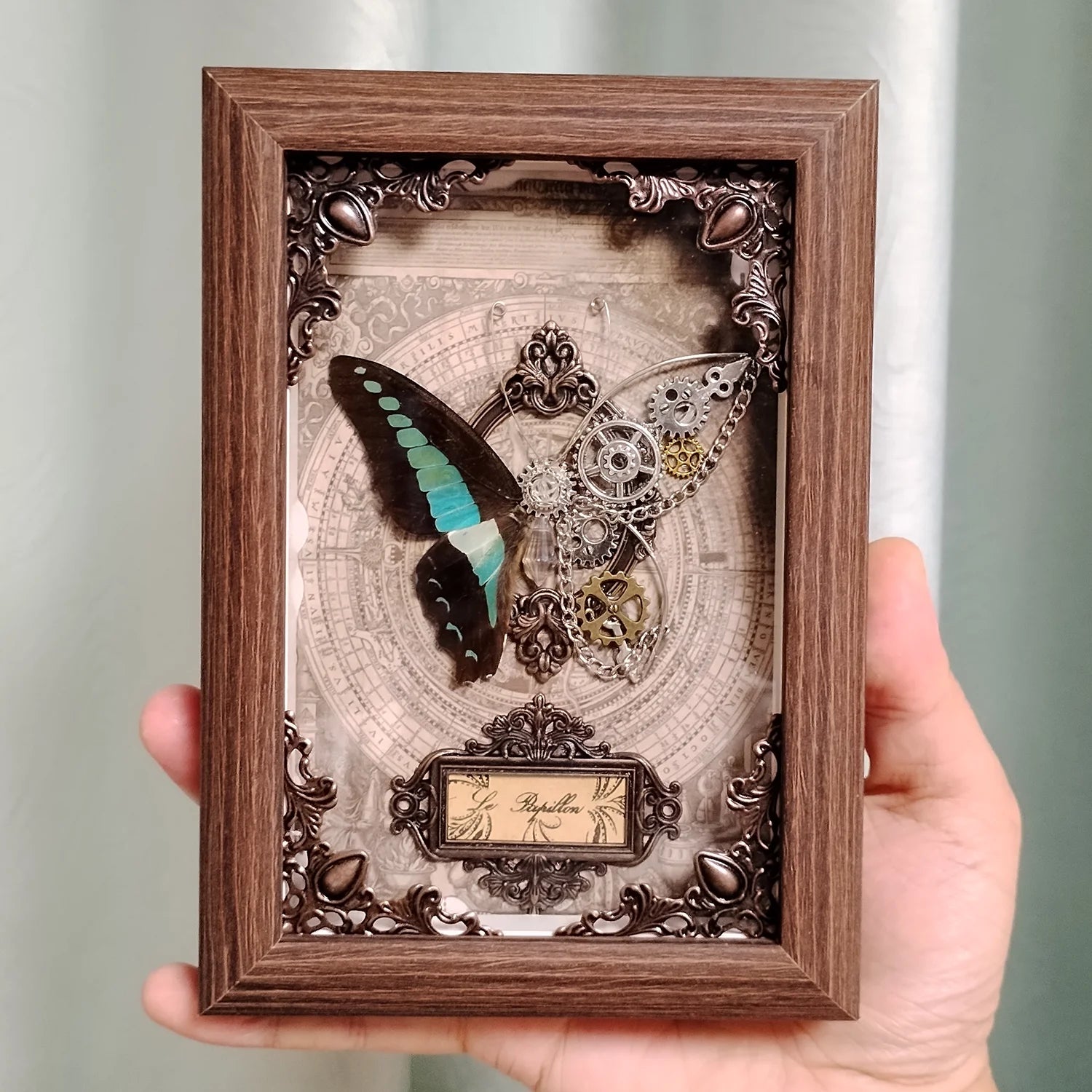 Real butterfly specimen framed 3d mechanical butterflies collection punk retro style handcraft home decor education