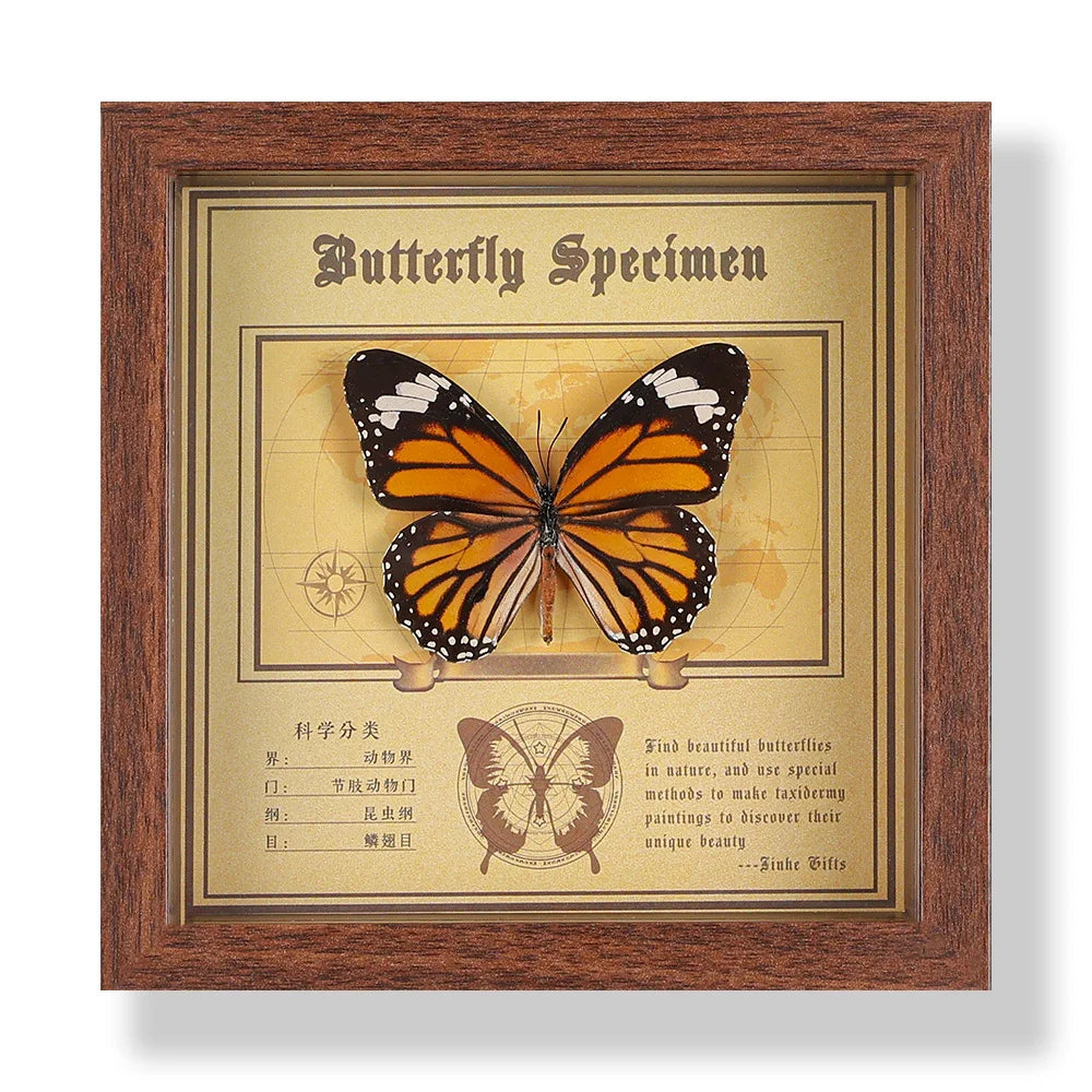 Real butterfly specimen frame handcrafted 3d decor wooden picture art gift diy insect display home décor - 14.6x14.6cm