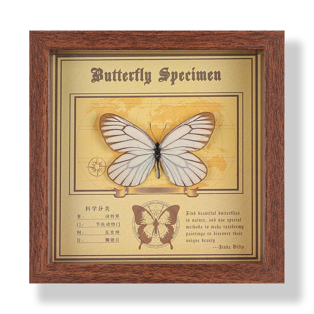 Real butterfly specimen frame handcrafted 3d decor wooden picture art gift diy insect display home décor - 14.6x14.6cm