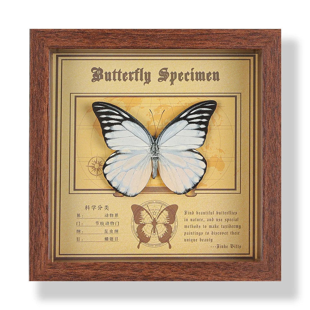 Real butterfly specimen frame handcrafted 3d decor wooden picture art gift diy insect display home décor - 14.6x14.6cm