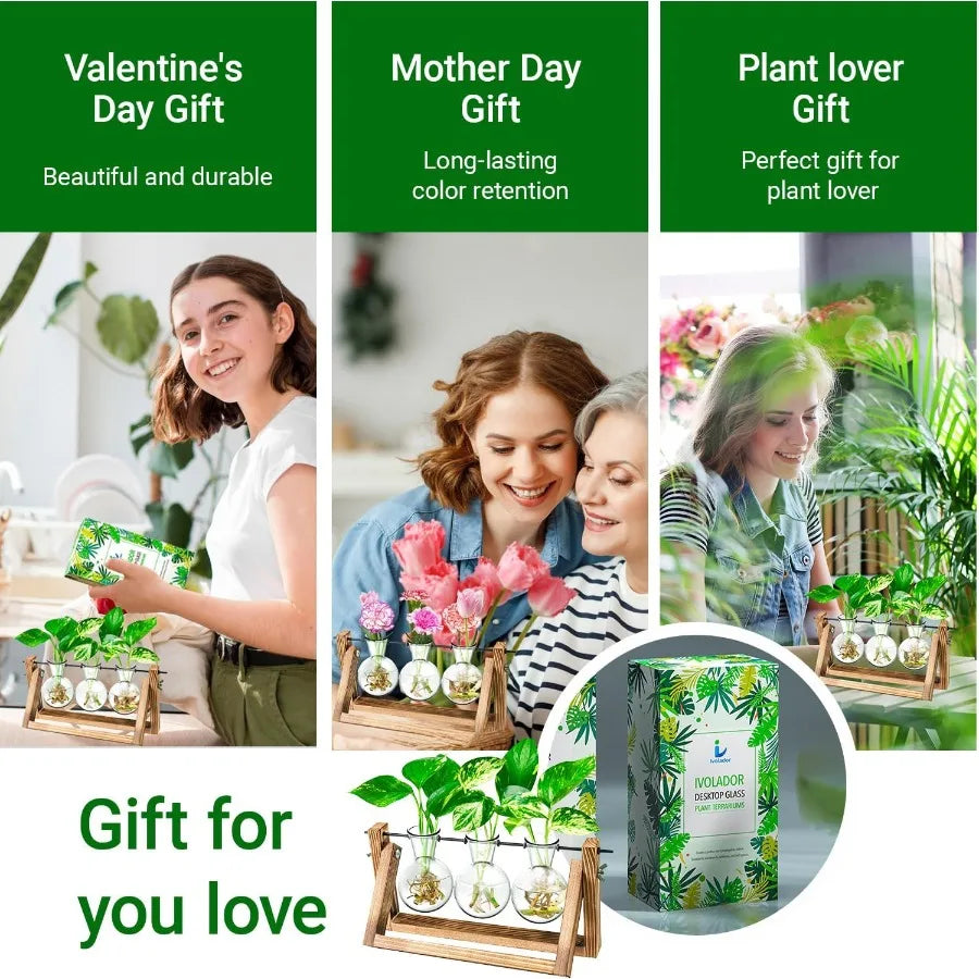 Ivolador plant propagation stationbulb terrarium with wooden stand unique gardening gifts for women lovers hydropon